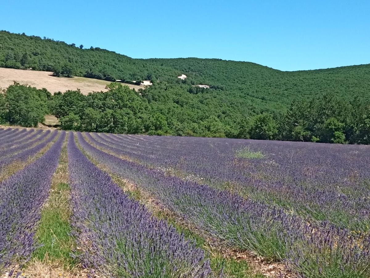 Gite Avec Piscine "La Maison De Valentine" En Provence Montsalier Exterior foto