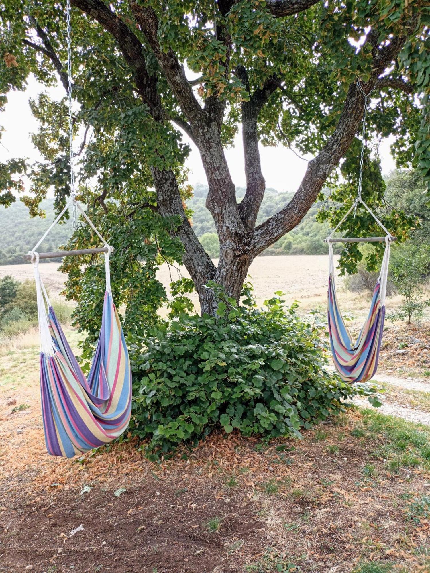 Gite Avec Piscine "La Maison De Valentine" En Provence Montsalier Exterior foto